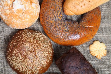 ehlileştirmek üzerinde ekmek