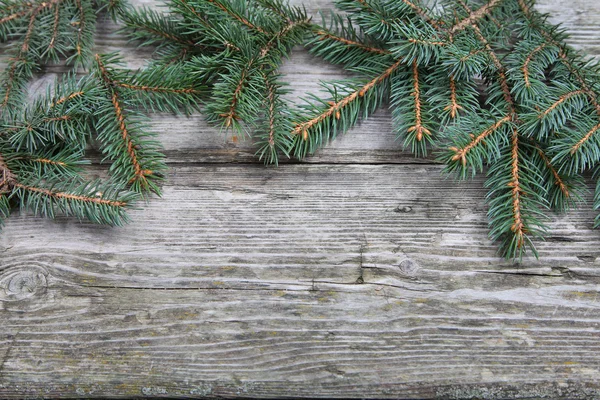 크리스마스 전나무 — 스톡 사진