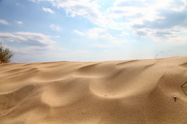 Желтый песок и чистое небо — стоковое фото