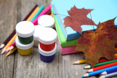 kitap, kalem ve akçaağaç yaprağı 