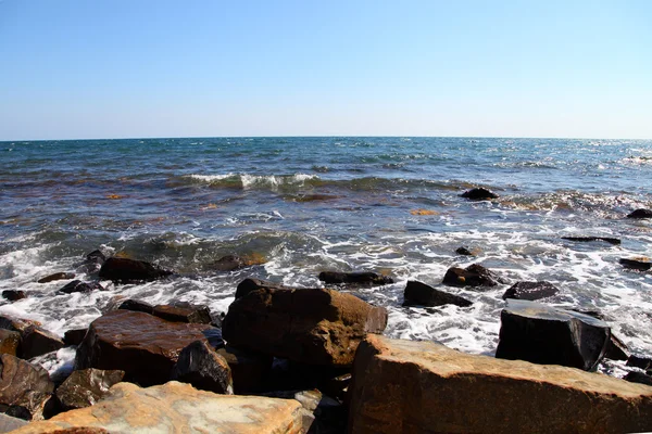 Orilla del mar . — Foto de Stock