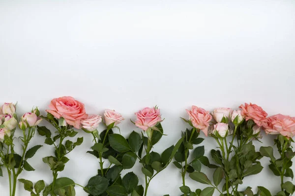 Rosa Rosas Fundo Madeira Leve Lugar Para Seu Texto Fronteira — Fotografia de Stock