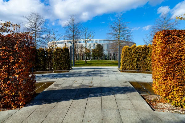 Stadtpark Krasnodar Oder Galitsky Park Schöne Bäume Und Rasen Auf — Stockfoto