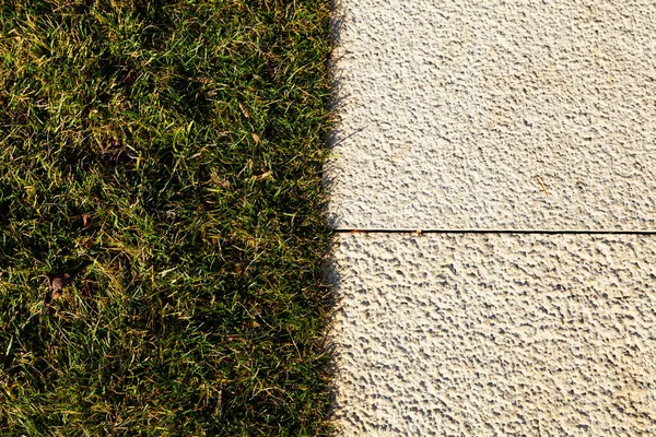 Parktaki çim ve taş patika. Doğal soyut arkaplan.