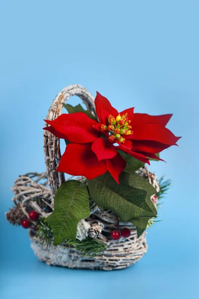 Χριστουγεννιάτικο Αστέρι Ένα Όμορφο Καλάθι Μπλε Φόντο Χριστουγεννιάτικη Διακόσμηση — Φωτογραφία Αρχείου