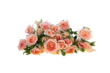 Beyaz arka planda izole edilmiş pembe güller. Bir buket çiçek..