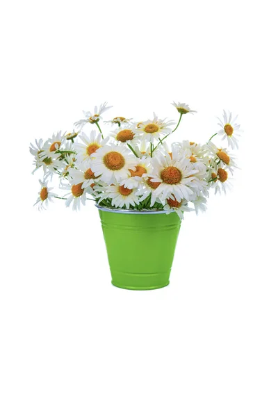 Bouquet Daisies Green Vase Isolated White Background Beautiful Flowers — Stock Photo, Image