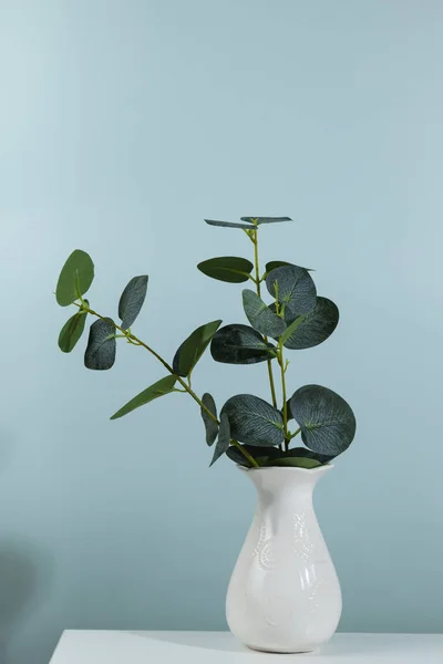 Grüne Pflanze Einer Weißen Vase Auf Grünem Hintergrund Platz Für — Stockfoto