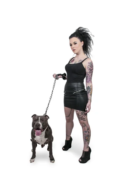 Beautiful Woman and Pit Bull — Stock Photo, Image