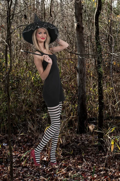 Wicked Witch — Stock Image Wicked Witch Stock Picture