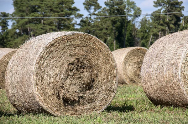 Hay Bales — Stock Photo, Image