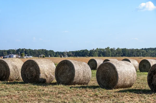 Hay balyaları — Stok fotoğraf