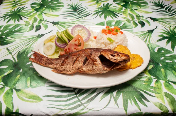 Deliciosa Cozinha Tradicional Conhecido Melhor Como Snapper Vermelho Frito — Fotografia de Stock