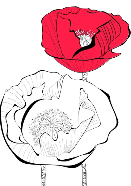 Stilisierte Mohnblume Illustration — Stockvektor