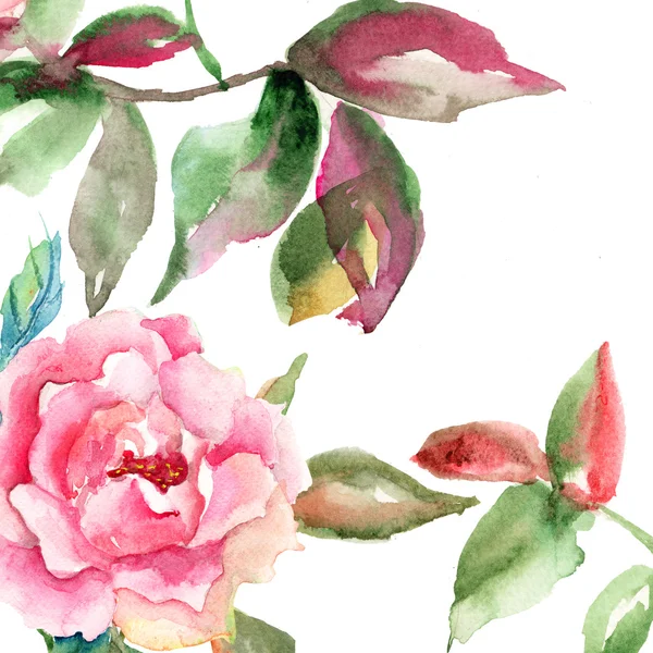 Flor de rosa com folhas verdes — Fotografia de Stock