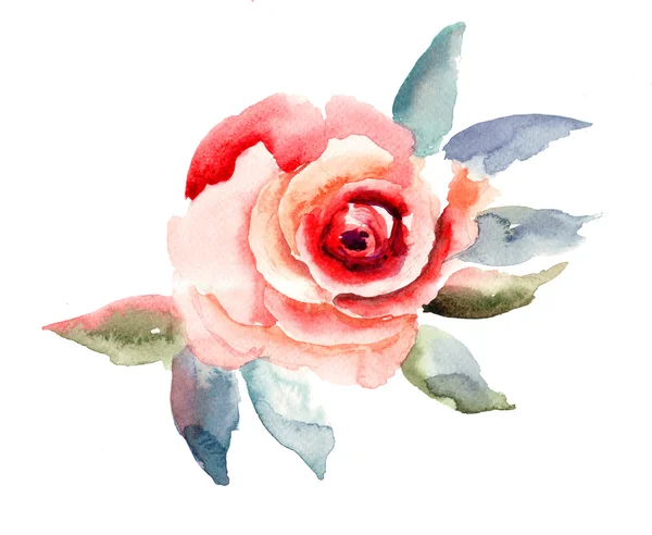 Illustration fleurs roses — Photo