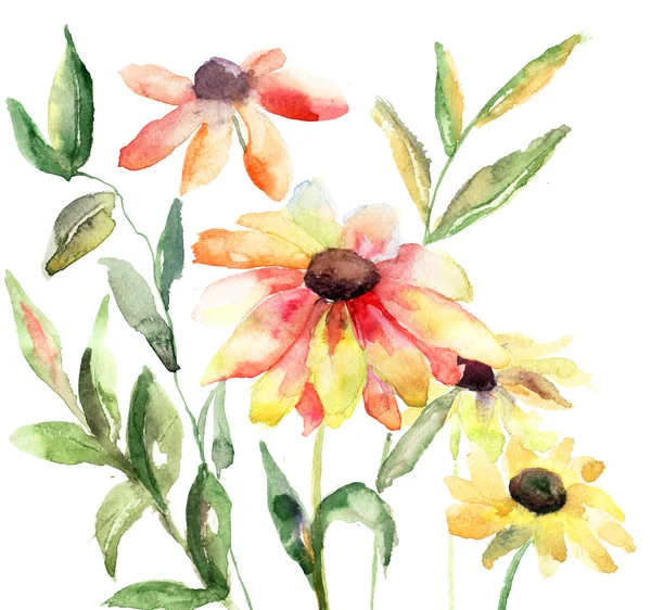 Watercolor illustration with beautiful flowers — Stock Photo, Image