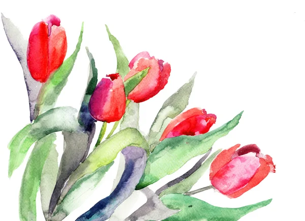 Estilizado Tulipanes flores ilustración — Foto de Stock