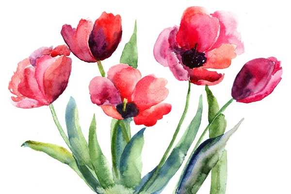Colorful illustration of red tulips flowers — Stock Photo, Image