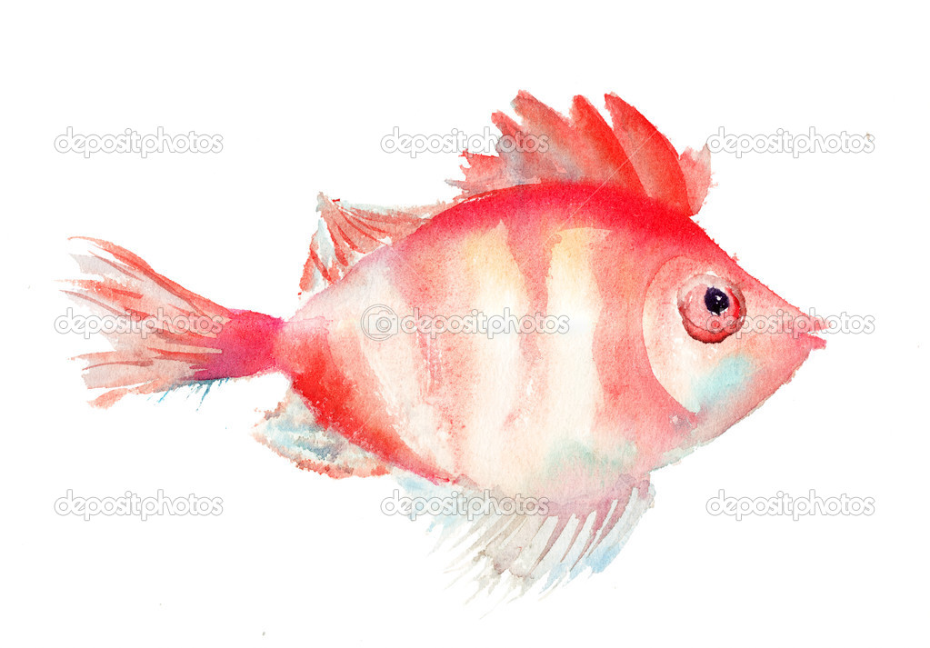 Watercolor illustration of fish