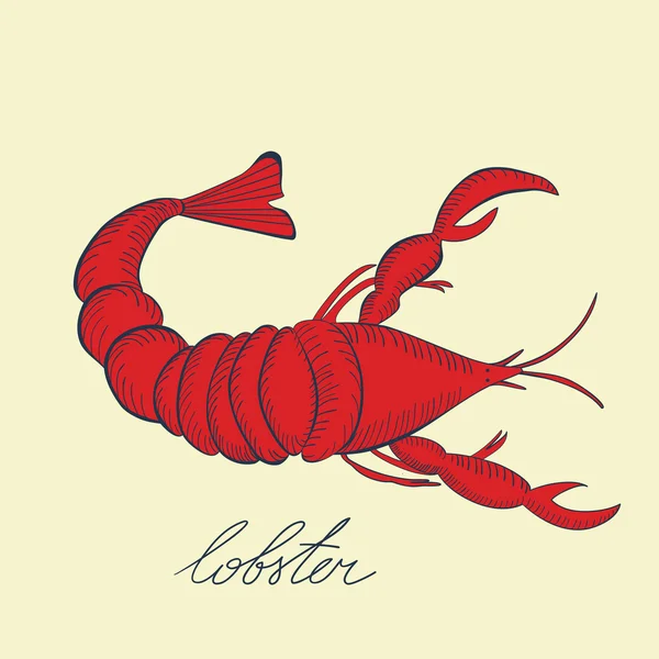 Lobster — Stock Vector