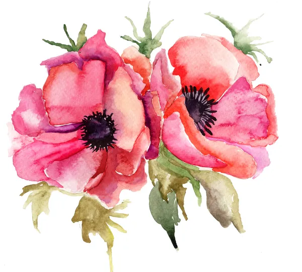 Gestileerde poppy bloemen illustratie — Stockfoto