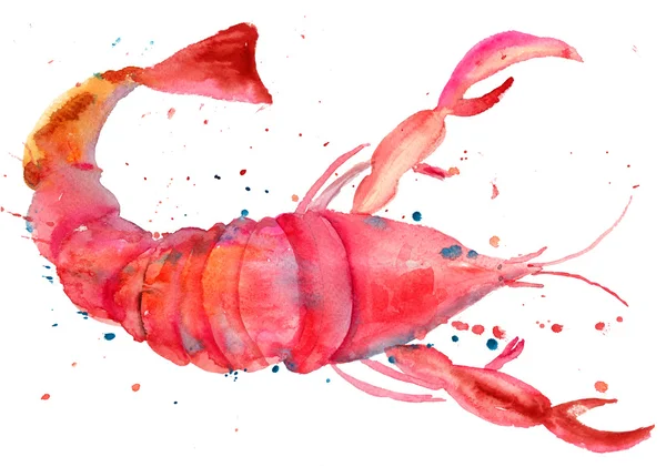 Illustration aquarelle du homard — Photo