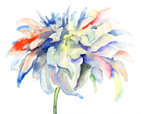 Aquarell-Illustration mit schönen Blumen — Stockfoto