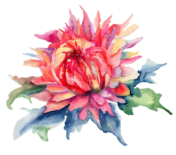 Watercolor illustration with beautiful flowers — Stock Photo, Image