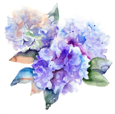 Beautiful Hydrangea blue flowers clipart