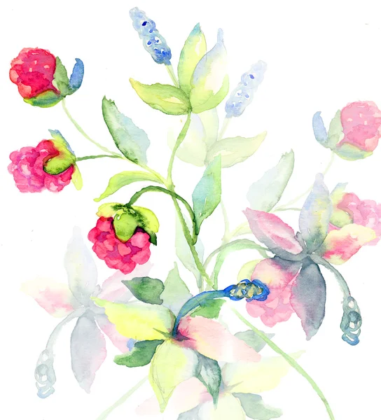 Decorative floral background — Stock Photo, Image