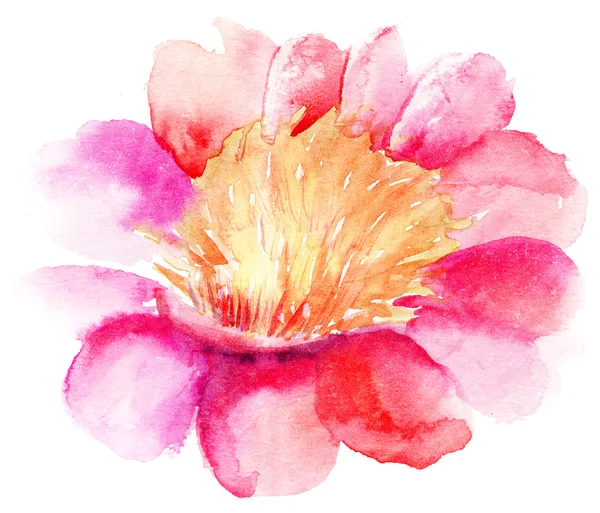 Όμορφο ροζ λουλούδι — Φωτογραφία Αρχείου