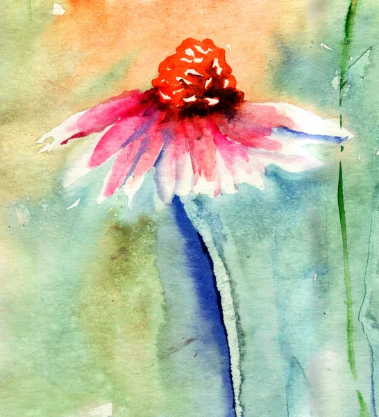 Aquarell-Illustration mit schönen Blumen — Stockfoto