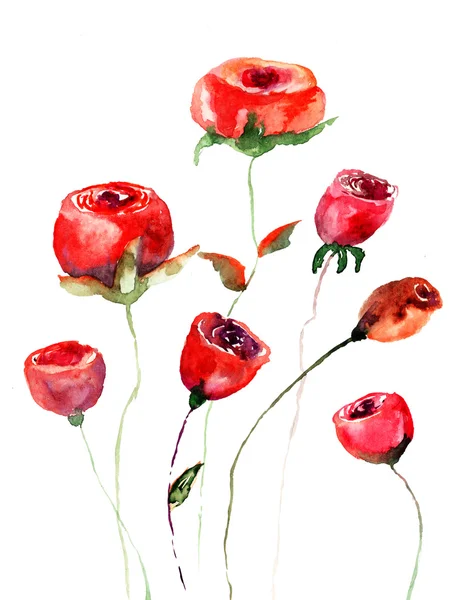 Fleurs de roses, illustration aquarelle — Photo