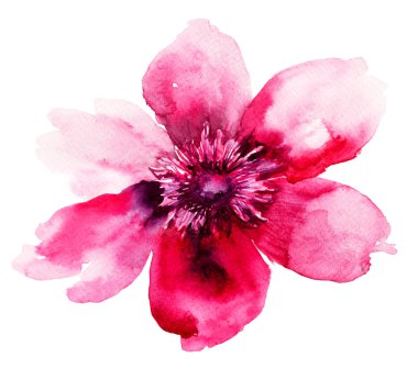 Beautiful Pink flower clipart