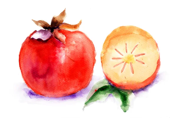 Persimmon, Aquarell-Illustration — Stockfoto