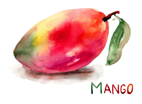 マンゴー フルーツ — ストック写真