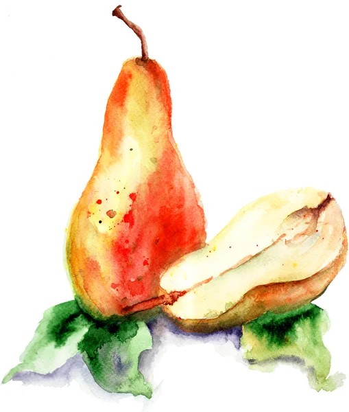 梨の水彩画のイラスト — 图库照片