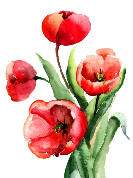 Flores de tulipas vermelhas — Fotografia de Stock