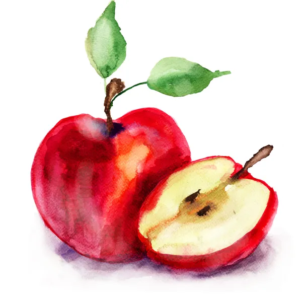 Stylized watercolor apple illustration — Stock Photo, Image