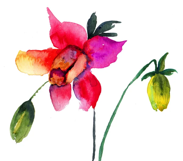 35,818 illustrations de Belle fleur rouge | Depositphotos