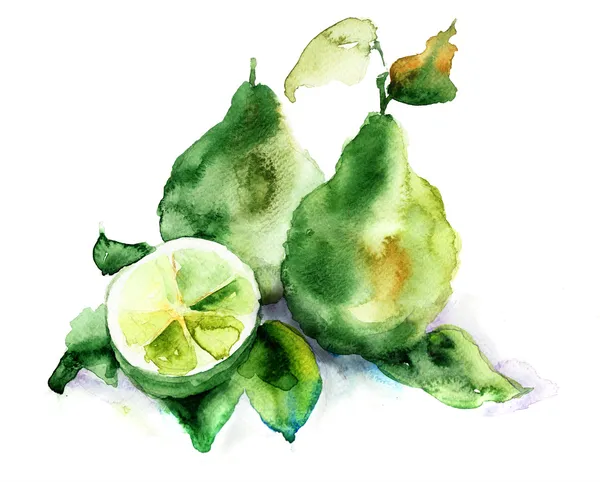 Owoców bergamotki — Zdjęcie stockowe