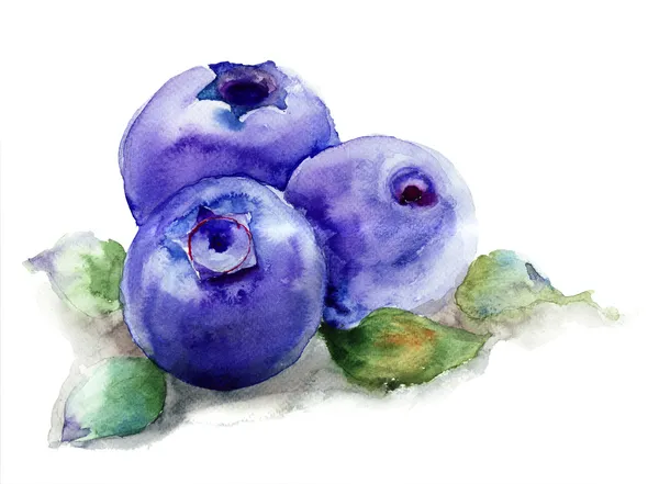 用叶子蓝莓 — 图库照片