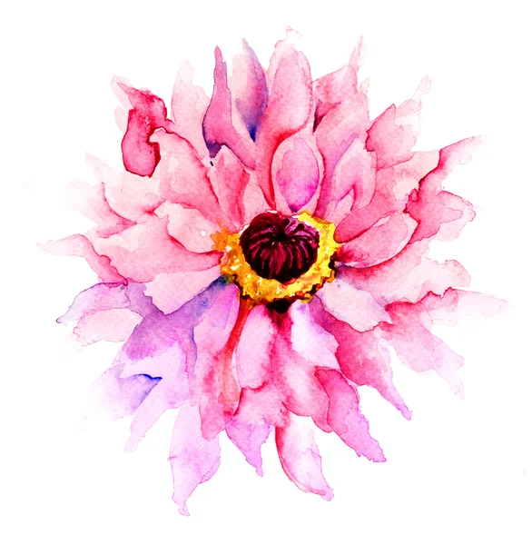 Beautiful Pink flower — Stock Photo, Image