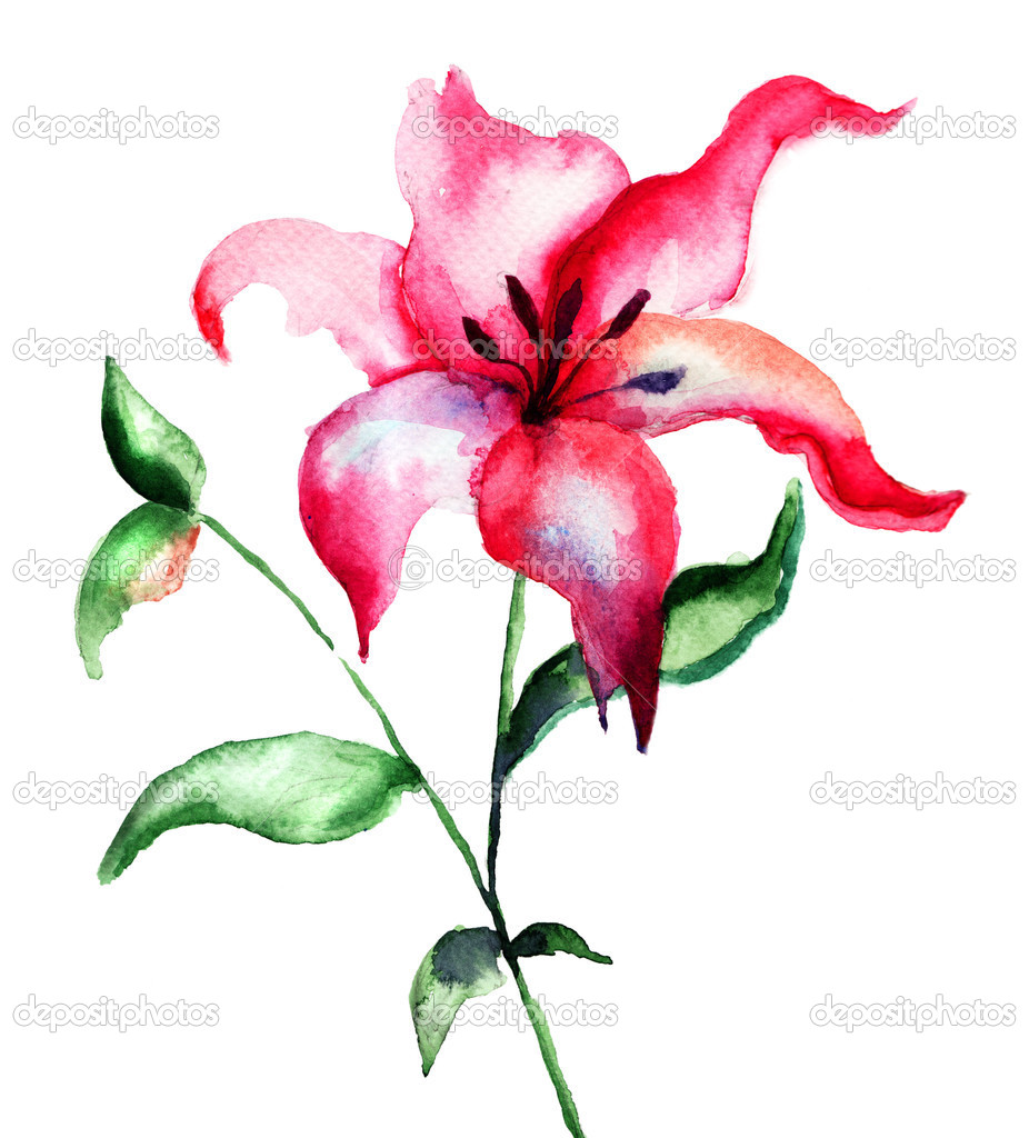Flor lili roja fotos de stock, imágenes de Flor lili roja sin royalties | Depositphotos Flor lili roja fotos de stock, imágenes de Flor lili roja sin royalties | Depositphotos