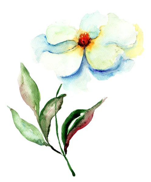 Красивый синий цветок — стоковое фото