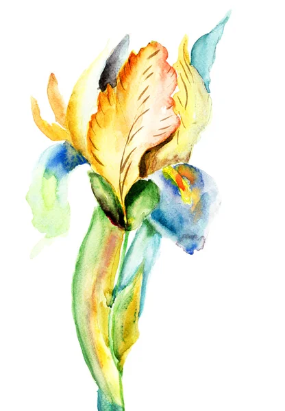 Flor estilizada del iris —  Fotos de Stock