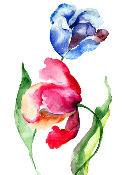 Flores de tulipas, pintura de aquarela — Fotografia de Stock
