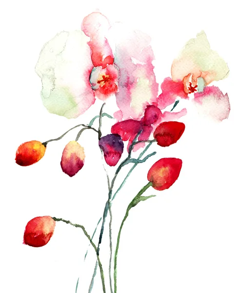 Fleurs d'orchidées roses — Photo