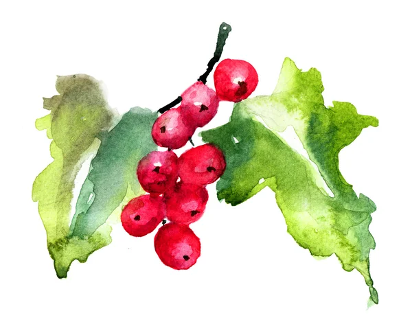 Red Currant — Stock Photo, Image